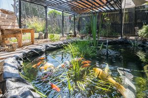 Pond- click for photo gallery